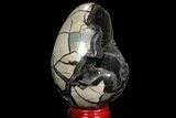 Septarian Dragon Egg Geode - Black Crystals #98863-2